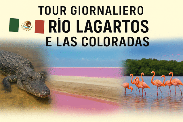 Rio Lagartos e Las Coloradas